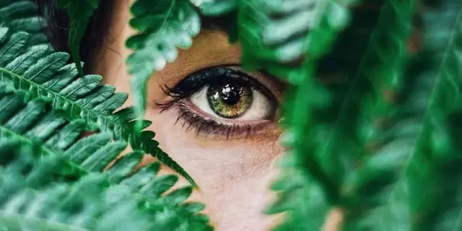 зрение и упражнения за възстановяването му